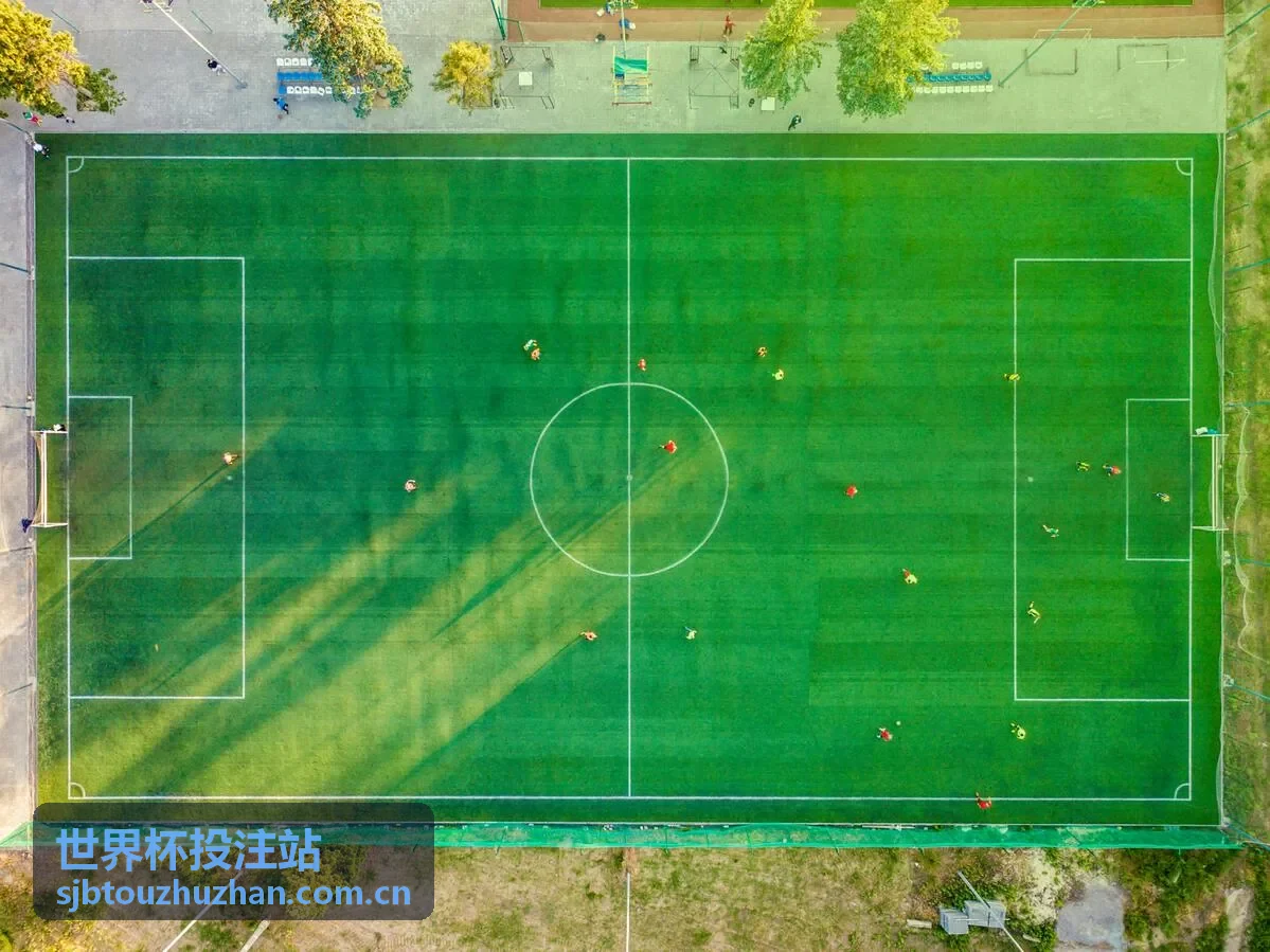 世界杯投注心理管理