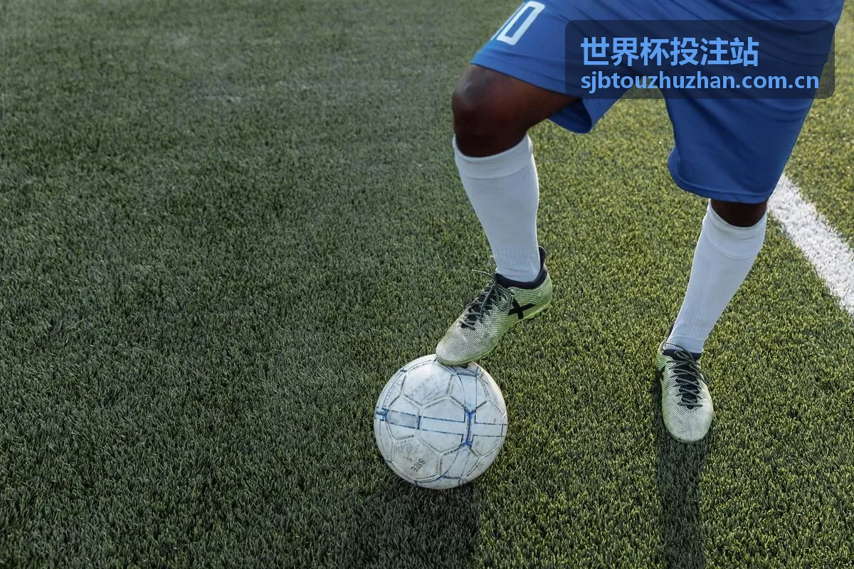 赛事直播入口
